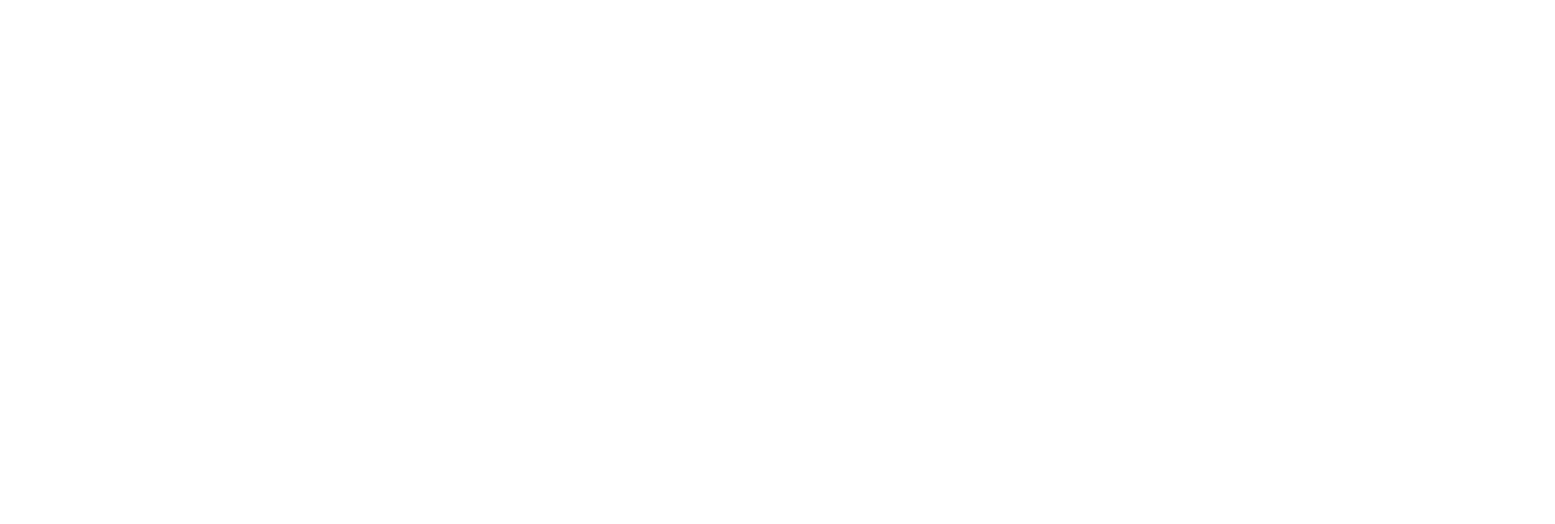SongBean